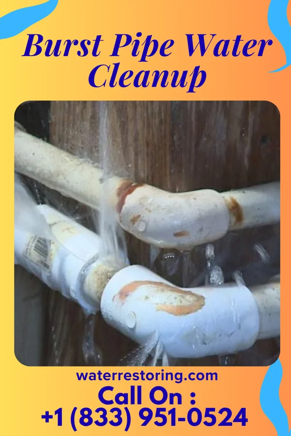 Burst Pipe Water Cleanup in Shanksville, PA